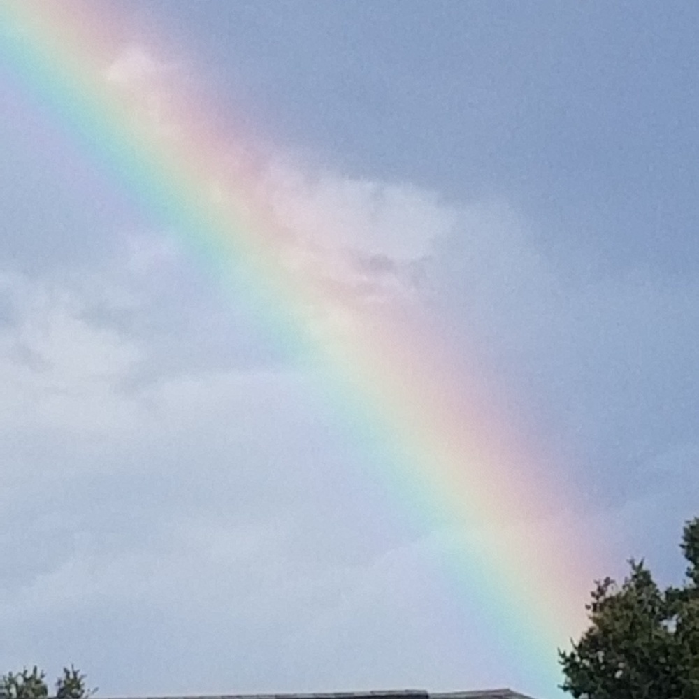 Meet your Posher, Ellen